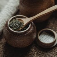 Shincha Green Tea