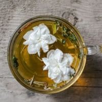 Jasmine Green Tea
