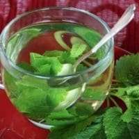 Lemon Balm Tea