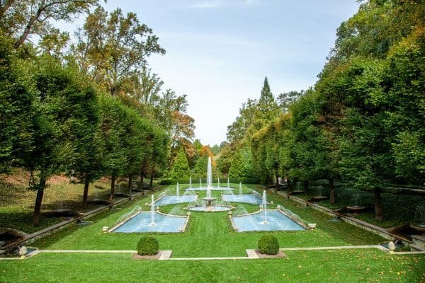 Gallery-Image