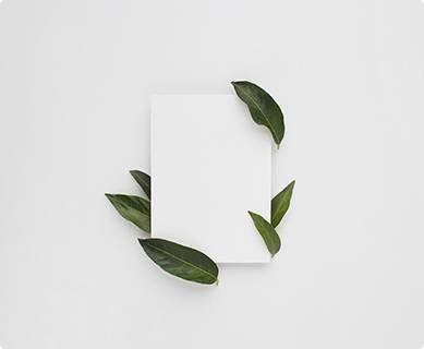 portfolio thumb