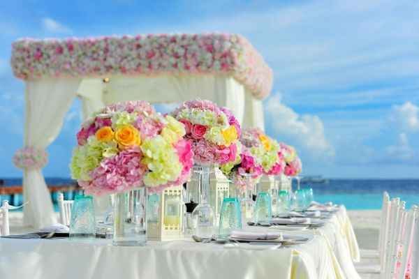 Petal Paradise