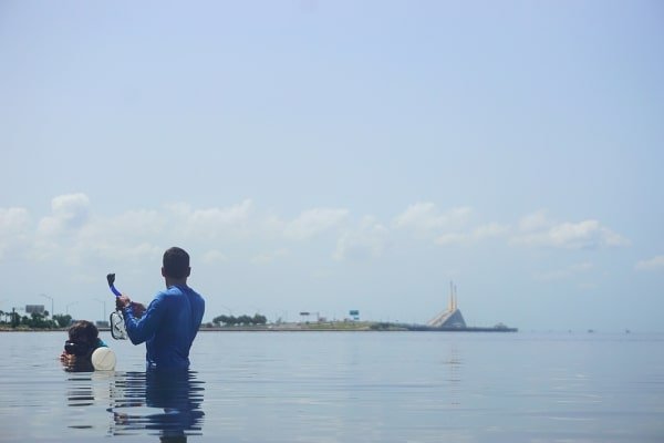 Project-Image