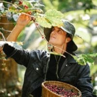 Reply by Alexander Smith