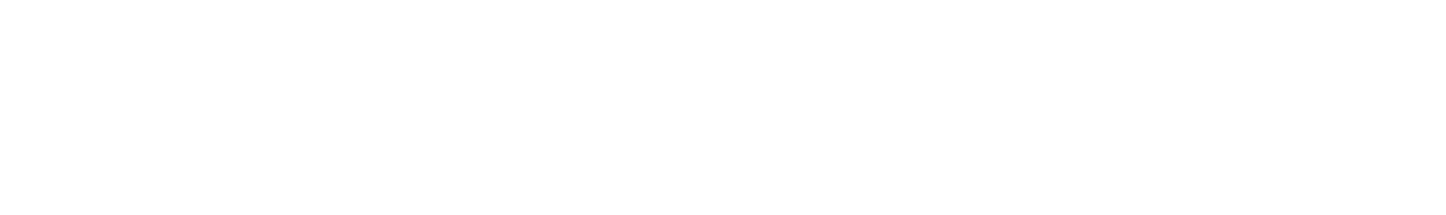 shap.png