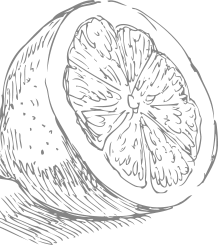 Shape Image