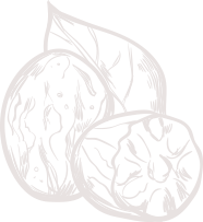 Shape