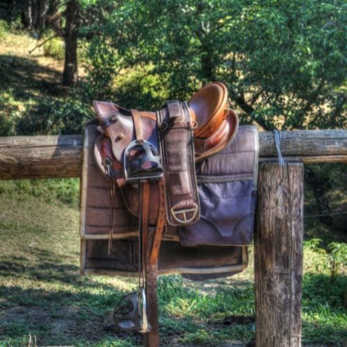 Saddle Image 3