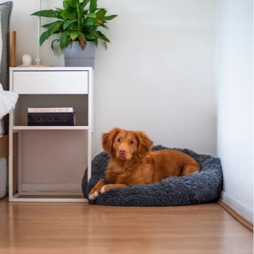 Product-Gallery-Image-3