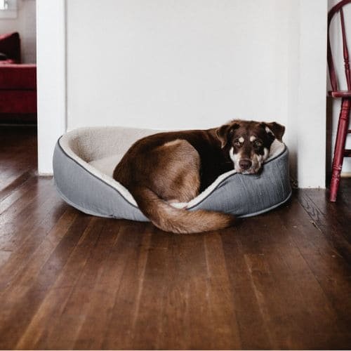 Product-Gallery-Image-4